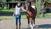 CAVALLO Höflich auf Click, Clickertraining, Frau hält Hand mit Leckerli dem Pony hin