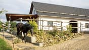 CAVALLO Der Traum vom eigenen Stall, Stallgebäude ist ein Neubau, schwarzes Pferde draußen davor
