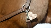 DIY, Lederanhänger, Anhänger Halfter, Bastelecke, Geschenkideen für Reiter, selber machen, Pferdesachen basteln DIY Lederanhänger am Pferdehalfter