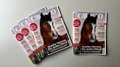 Cover CAVALLO-Ausgabe Februar 2025