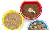 Verschiedene Pferde-Zusatzfuttermittel in Pellet-, Pulver- und Quader-Form in farbigen Eimern.
