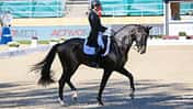 FEI European Championships Dressage 2023 - Andreas Helgstrand mit Jovian in der Dressurprüfung im Seitenprofil