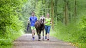 Barbara und Stefan beim Lauf durch den Wald mit Marathonpony Ciel