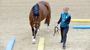 Equikinetic ist ein effektives Muskel-Aufbau-Programm