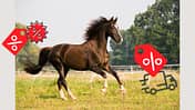 Pferd auf der Weide mit Discount-Zeichen drumherum