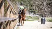 Stefanie Seebauer im Schulterherein mit ihrem Pferd an der langen Seite des Reitplatzes