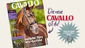 Collage CAVALLO Cover August-Ausgabe 2026