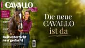 Der CAVALLO-Titel im September 2026