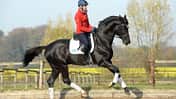 Zulegen im Galopp