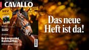 Die CAVALLO-Themen im November 2026