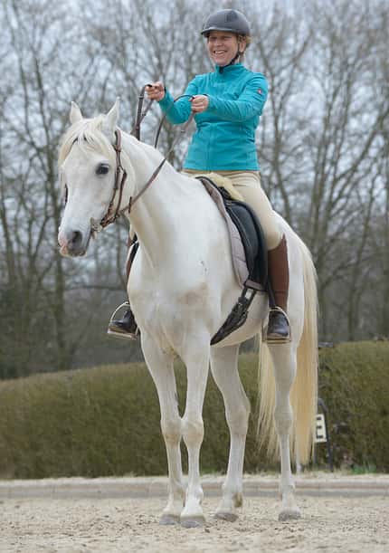 cav-0518-zufrieden-am-zuegel-lir8584 (jpg)