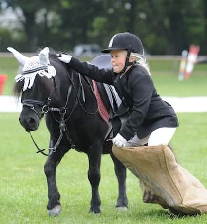 CAV Pony Schräges Pferdewelt Generationenderby