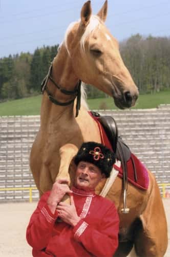 CAV Achal-Tekkiner
