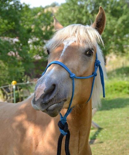CAV Mimik Leserfotos Helene CAV Mimik Leserfotos Helene