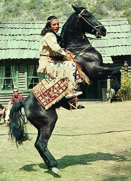 CAV Filmpferde Winnetou Iltschi Artikel CAV Filmpferde Winnetou Iltschi Artikel