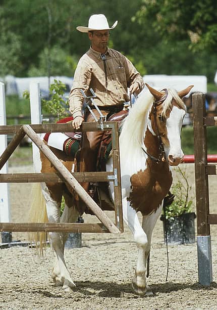 CAV 08_2010 Reitweisen_04 (jpg) CAV 08_2010 Reitweisen_04 (jpg)