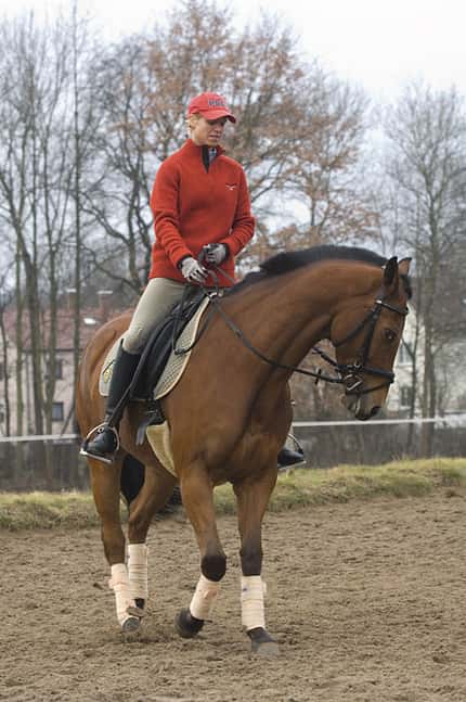 CAV Aeußere Zuegel Bild 6 CAV Aeußere Zuegel Bild 6