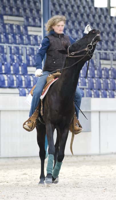 CAV Westernkritik CAV Westernkritik