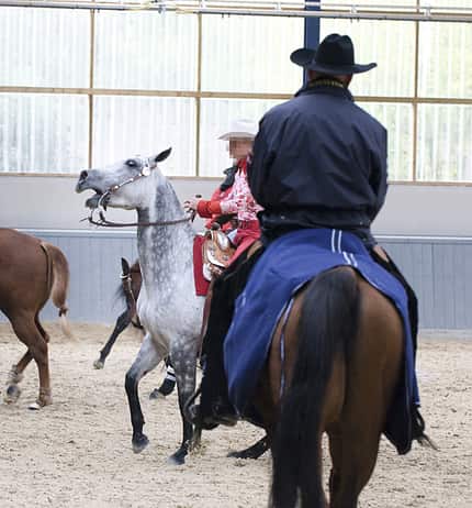 CAV Westernkritik CAV Westernkritik
