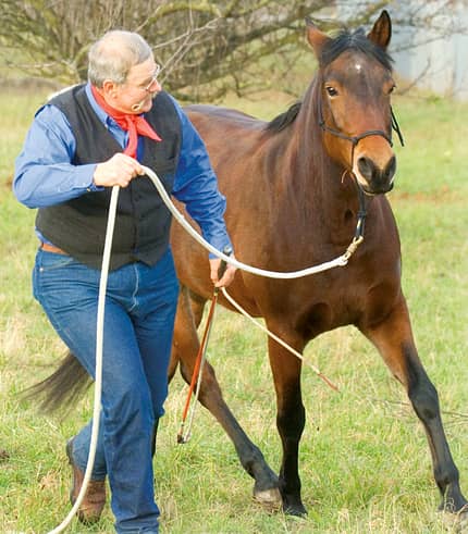 CAV 0108 Gurutest - Zambail mit Pferd CAV 0108 Gurutest - Zambail mit Pferd
