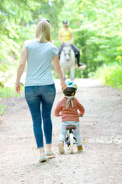 CAVALLO Wir im Wald, Knigge im Wald Knigge im Wald