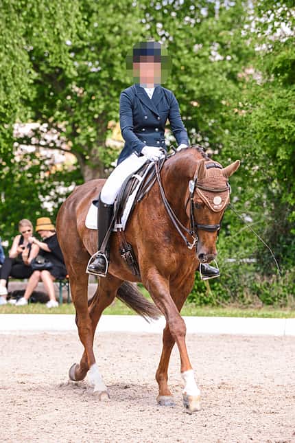 CAVALLO Turnierrichter packen aus Turnierrichter packen aus