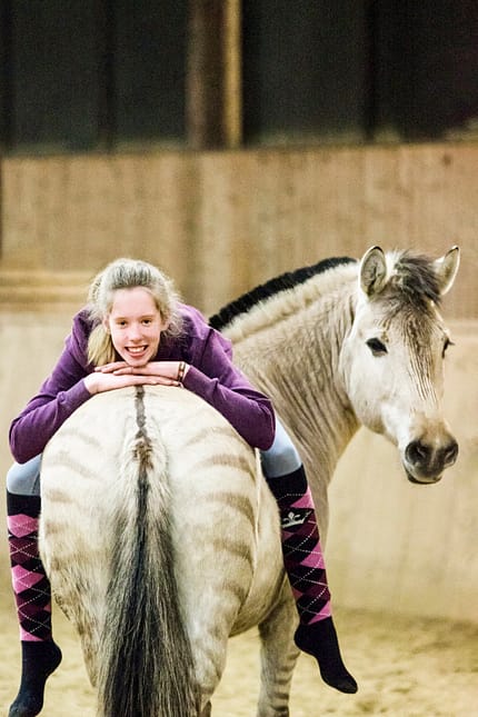 CAVALLO, Zorse - Halb Pferd, halb Zebra Zorse - Halb Pferd, halb Zebra