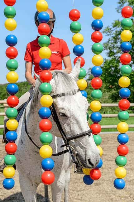 CAVALLO Spielt mein Pferd gerne? CAVALLO Spielt mein Pferd gerne?