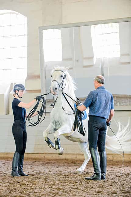 CAVALLO Leckerli & Levaden - alte Reitkunst am Egon von Neindorff-Institut Leckerli & Levaden - alte Reitkunst am Egon von Neindorff-Institut