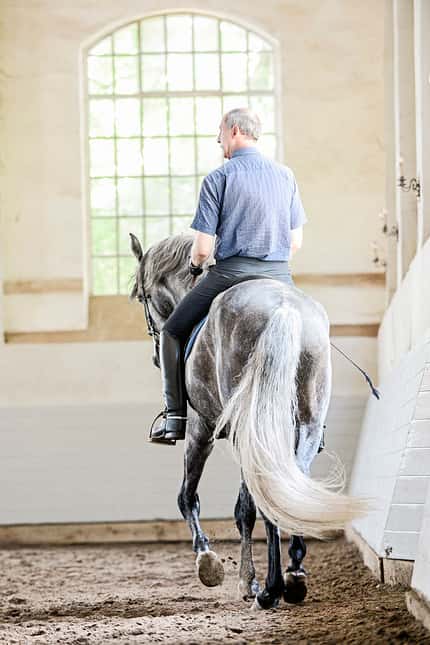 CAVALLO Leckerli & Levaden - alte Reitkunst am Egon von Neindorff-Institut Leckerli & Levaden - alte Reitkunst am Egon von Neindorff-Institut