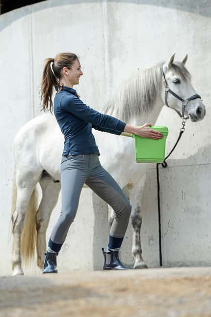 CAVALLO Warm up & cool down Warm up & cool down