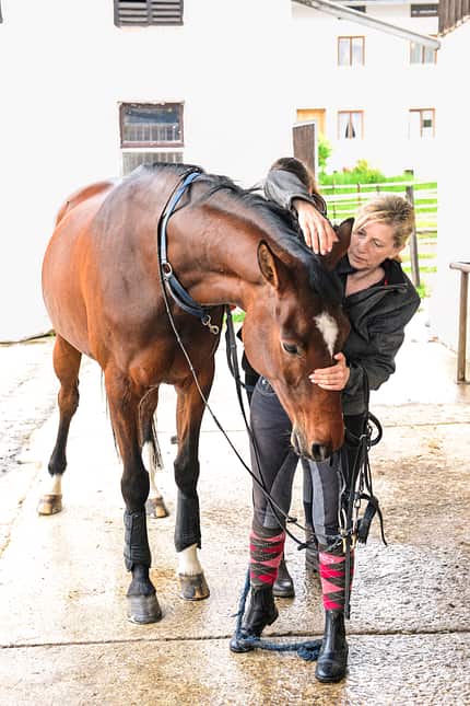 CAVALLO Coach „Meine Stute ist beim Reiten auf der Flucht“ „Meine Stute ist beim Reiten auf der Flucht“