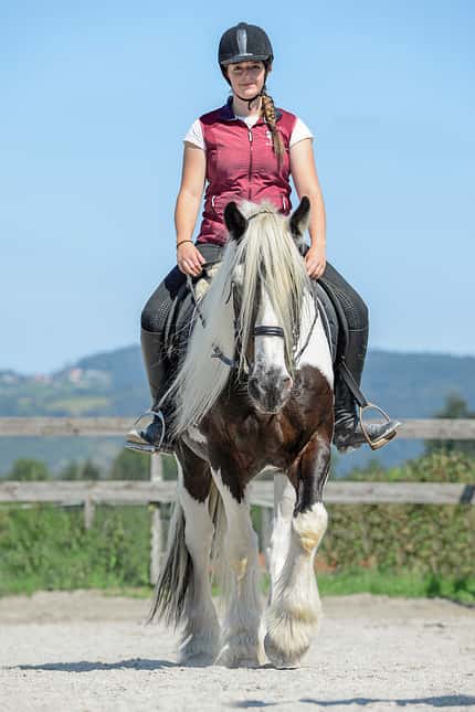 CAVALLO Titelthema volle Konzentration Titelthema volle Konzentration