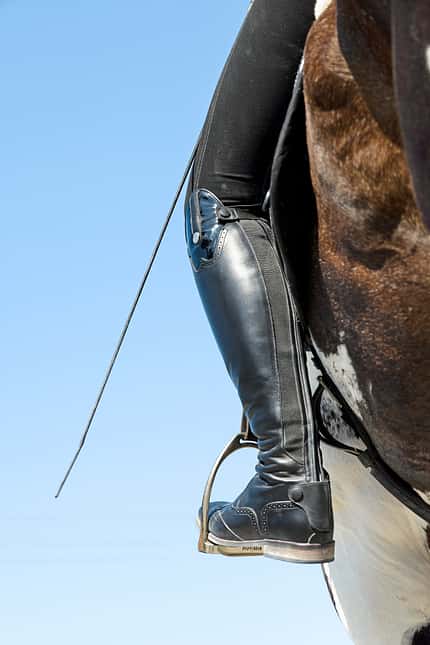 CAVALLO Titelthema volle Konzentration Titelthema volle Konzentration