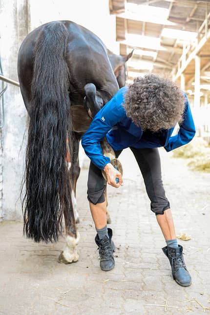 CAVALLO hautnah CAVALLO hautnah