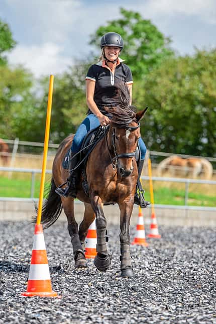 CAVALLO Working Equitation Working Equitation