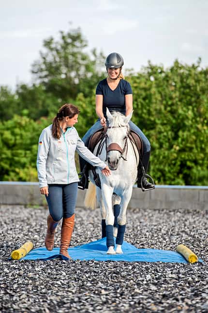 CAVALLO Working Equitation Working Equitation