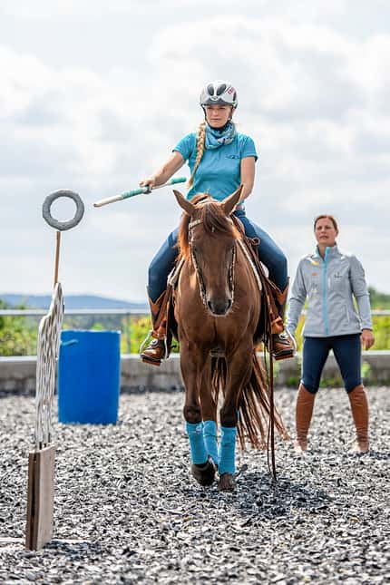 CAVALLO Working Equitation Working Equitation