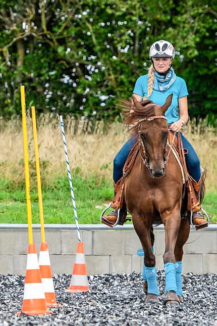 CAVALLO Working Equitation Working Equitation
