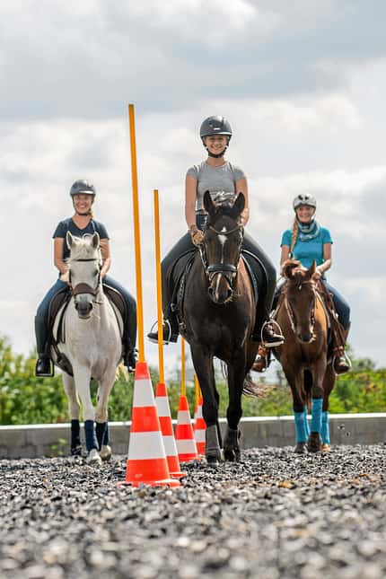 CAVALLO Working Equitation Working Equitation