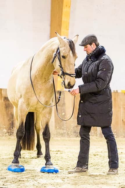 CAVALLO Fit mit Obst Teil 6 Fit mit Obst Teil 6