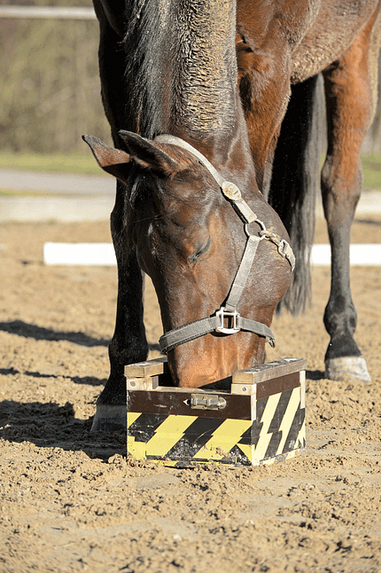 Optimisten und Nachmacher Optimisten und Nachmacher