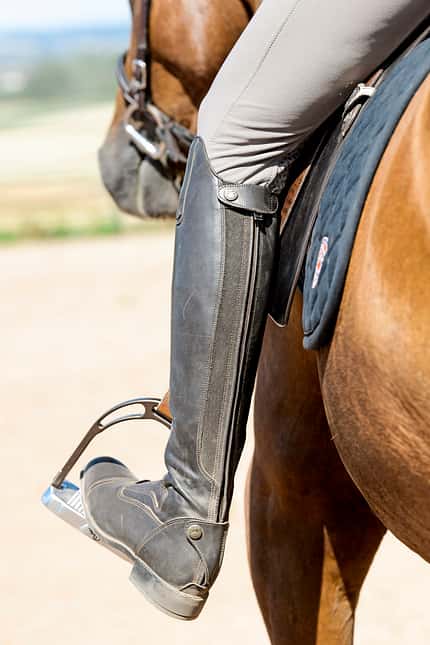 CAVALLO Grenzen setzen Grenzen setzen