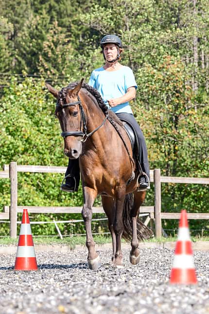 CAVALLO Äußere Hilfen Äußere Hilfen
