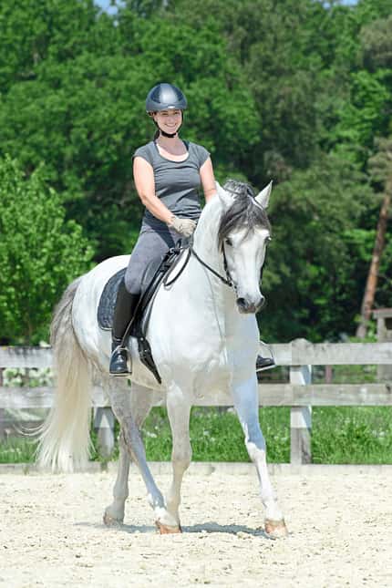 CAVALLO Spaß mit Pferden Spaß mit Pferden