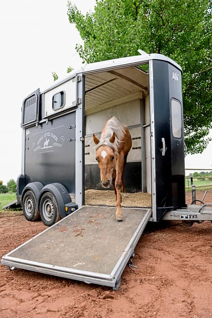 CAVALLO Medical Training Medical Training