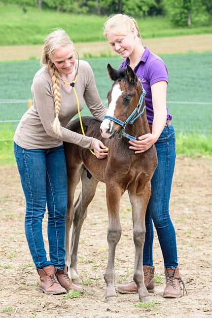 CAVALLO Medical Training Medical Training