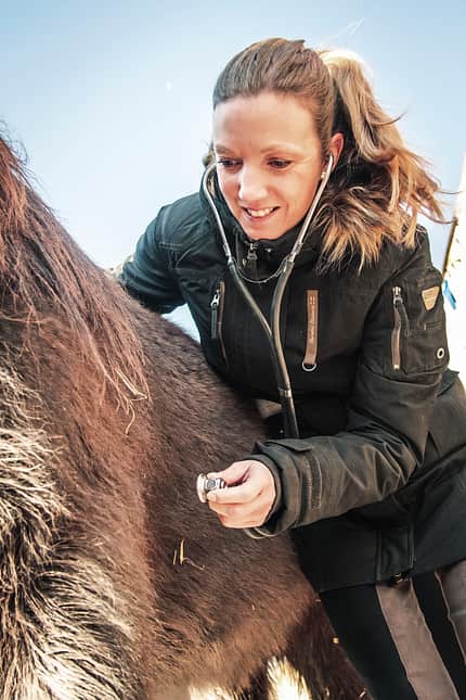 CAVALLO Erste Hilfe für Pferde Erste Hilfe für Pferde
