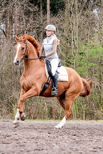 CAVALLO Was der Atem über Ihr Pferd verrät Was der Atem über Ihr Pferd verrät