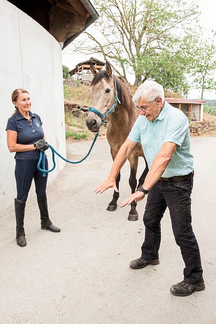 CAVALLO Aus Hufen lesen Aus Hufen lesen